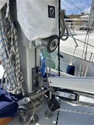 803ac_swan_36-31.jpg