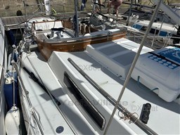 1c347_swan_36-29.jpg