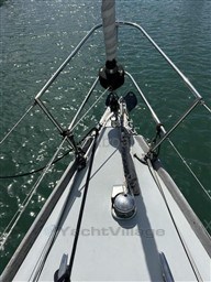 f377d_swan_36-23.jpg