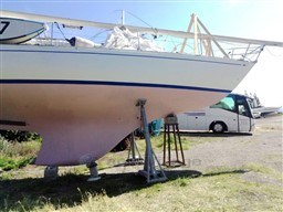 29640_alpa_1150-9.jpg