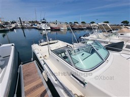 201f8_white_shark_236_-4.jpg