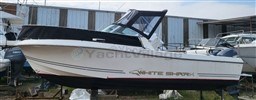 fc2f6_white_shark_236_-6.jpg