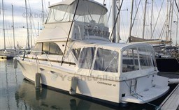 53ae9_caribbean_40_-45.jpg