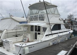 17da5_caribbean_40_-51.jpg