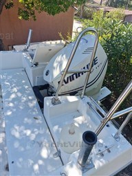 ecf59_white_sharck_175-9.jpg