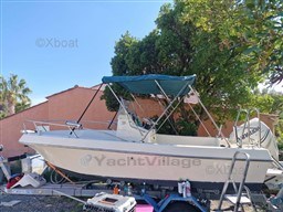 3a803_white_sharck_175-1.jpg