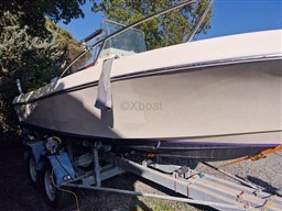 55937_white_sharck_175-11.jpg