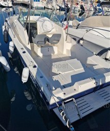 1ec64_white_shark_237-15.jpg