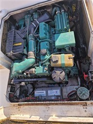 53310_white_shark_237-3.jpg