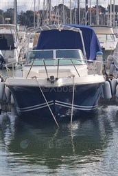 93711_white_shark_237-25.jpg