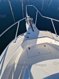 88386_white_shark_237-9.jpg
