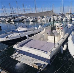 05764_white_shark_237-28.jpg