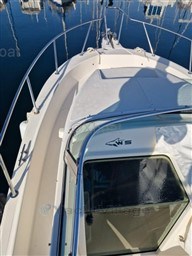 04b6f_white_shark_237-11.jpg