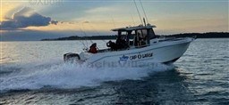 c72dc_san_remo_865_t_top-52.jpg