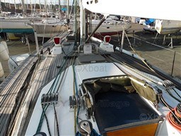 38fca_swan_39-12.jpg