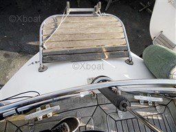 2c45e_swan_39-7.jpg