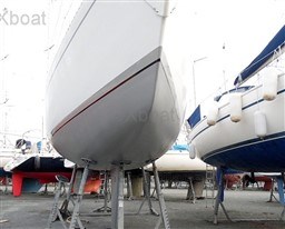 1b5b3_swan_39-2.jpg