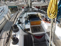 8e6d0_swan_39-8.jpg