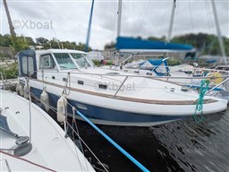 d1f0d_ombrine_960_timonier-2.jpg