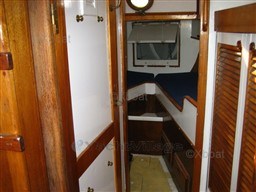 64605_flores-6.jpg