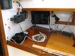 9de41_flores-11.jpg