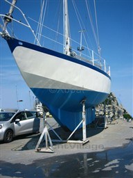 d3a40_flores-2.jpg