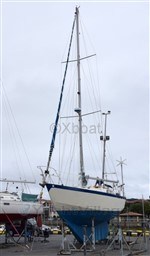 c4fb5_flores-3.jpg