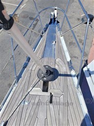 1856d_shark-50_4_1654873142.jpg