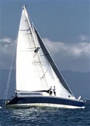 431d1_shark-50_3_1654934167.jpg