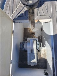 d17ef_shark-50_5_1654873143.jpg