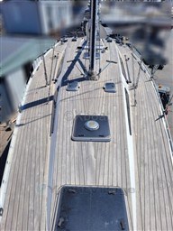 828fe_shark-50_6_1654873145.jpg