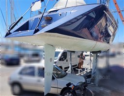 1d5ef_shark-50_45_1654873686.jpg