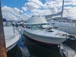 1ef16_riva_bertram_25_sport_fisherman-2.jpg