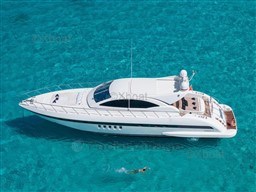 71ed7_mangusta_72-2.jpg