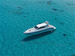 8a5fb_mangusta_72-5.jpg