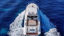 ba0d3_mangusta_72-12.jpg