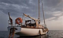 5d77d_sloop_classique-1.jpg