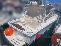 984c0_luhrs_28-6.jpg