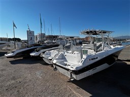 ba6da_278_931_3.jpg
