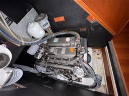 d38ae_278_1206_18.jpg