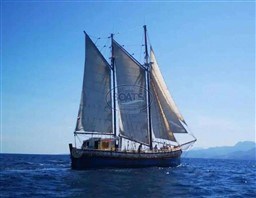 c074e_1957-inconnu-ketch-aurique-25m-sail-9952979-20250919090911900-8.29b198548dd8cc91578fec32b5bb0d70.jpg