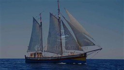 066dd_1957-inconnu-ketch-aurique-25m-sail-9952979-20250919090911917-10.1ccb4b3f3b19c0a17c70c14ced765dea.jpg