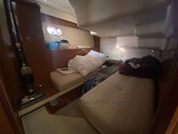 11420_starya_1329_15.jpg