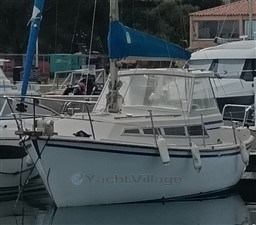 b364a_starya_1523_5.jpg