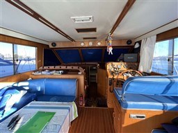 6b0a0_starya_1032_6.jpg