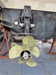 a7f6e_starya_1408_22.jpg