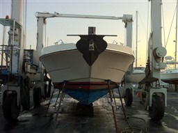 ec239_starya_1092_4.jpg