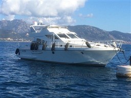 ac26c_starya_1514_1.jpg