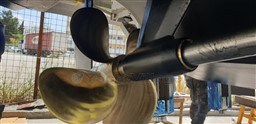 ece17_starya_1447_22.jpg