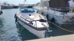 2f407_starya_1427_6.jpg
